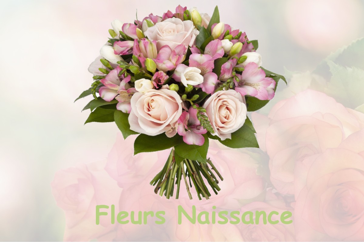 fleurs naissance CHAUX-DES-CROTENAY